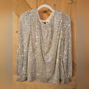 She + Sky Silver Sequin Long Sleeve Blouse